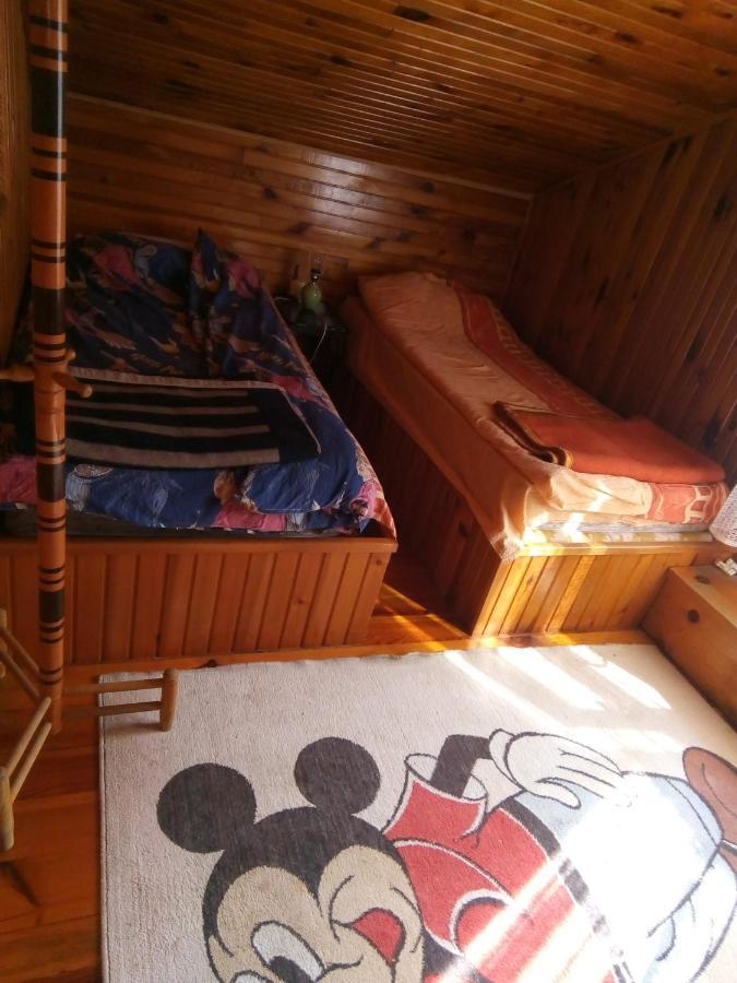 ゴルニ・ミラノヴァツ Takovo - Odmor U Seluヴィラ エクステリア 写真