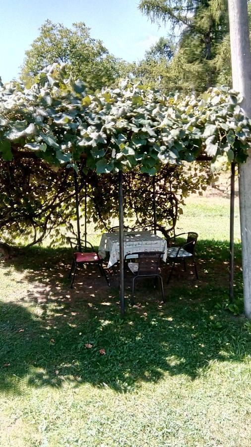 ゴルニ・ミラノヴァツ Takovo - Odmor U Seluヴィラ エクステリア 写真