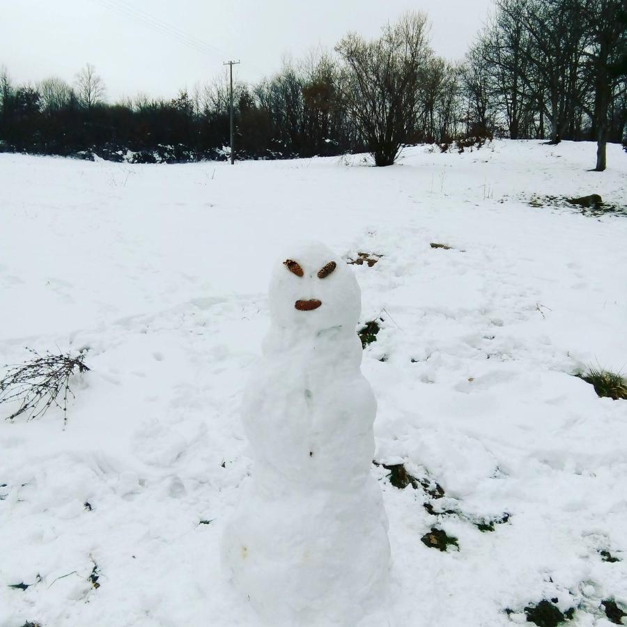 ゴルニ・ミラノヴァツ Takovo - Odmor U Seluヴィラ エクステリア 写真